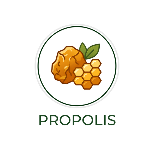 Fehér körben ábrázolt borostyánsárga propolisztömb, lépszerkezet és zöld levelek, alatta a „PROPOLISZ” felirattal.