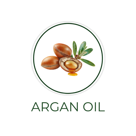 White circular icon featuring argan nuts and oil drops, with the ingredient name Argan Oil displayed on the image, alongside the Skin TOGO website.