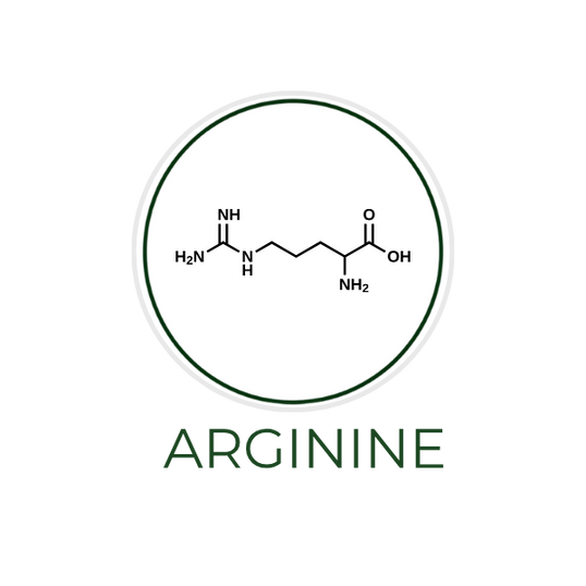 White circular icon featuring a molecular structure illustration, with the ingredient name Arginine displayed on the image, alongside the Skin TOGO website.
