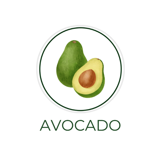 White circular icon featuring avocado fruit, with the ingredient name Avocado displayed on the image, alongside the Skin TOGO website.
