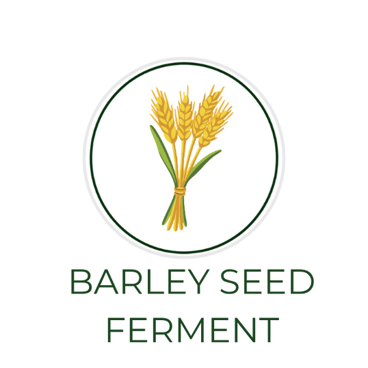 White circular icon featuring barley grains, with the ingredient name Barley Seed Ferment displayed on the image, alongside the Skin TOGO website.
