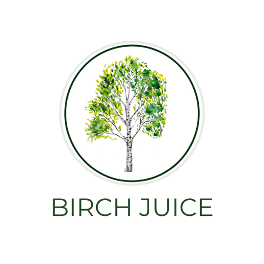 White circular icon featuring birch tree sap droplets and birch leaves, with the ingredient name Birch Sap displayed on the image, alongside the Skin TOGO website.

