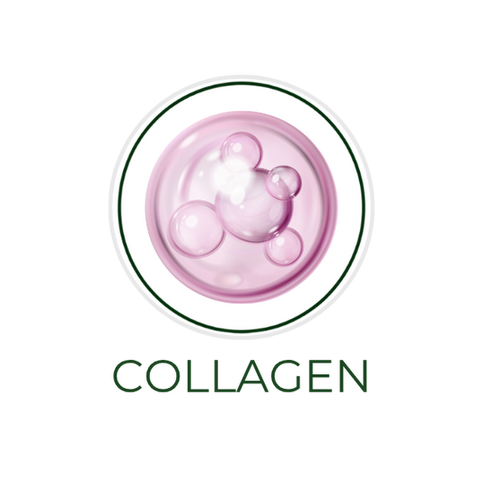 White circular icon featuring collagen fibers or a protein structure illustration, with the ingredient name Collagen displayed on the image, alongside the Skin TOGO website.