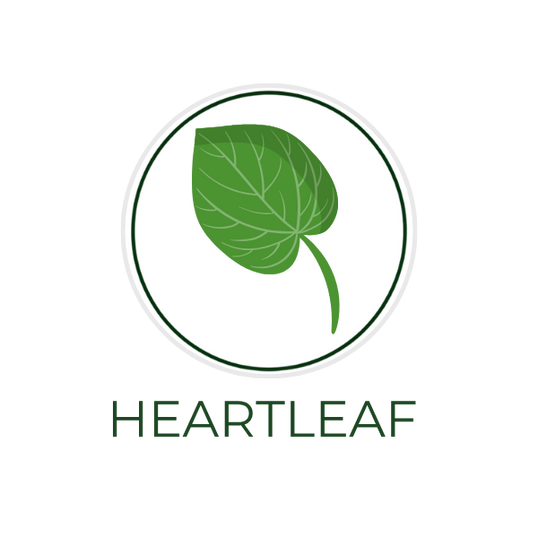 White circular icon featuring heartleaf plant leaves, with the ingredient name Heartleaf displayed on the image, alongside the Skin TOGO website.