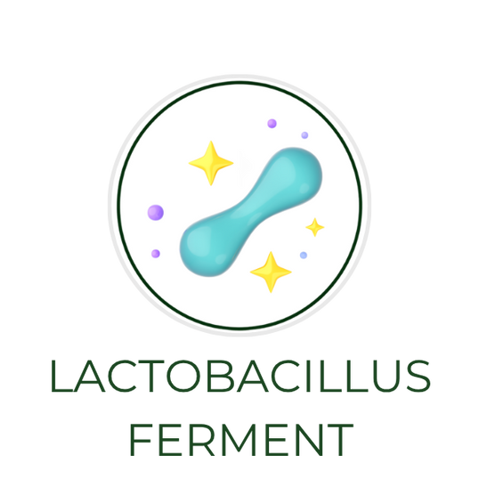 White circular icon featuring probiotic bacteria or fermentation elements, with the ingredient name Lactobacillus Ferment displayed on the image, alongside the Skin TOGO website.