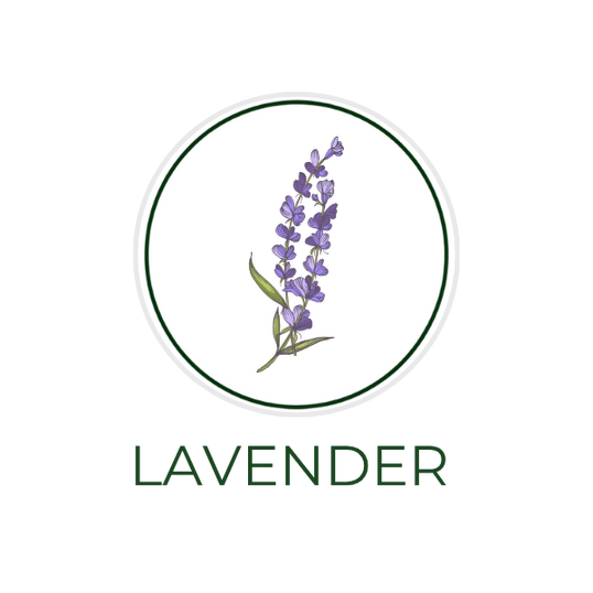 White circular icon featuring lavender flowers, with the ingredient name Lavender displayed on the image, alongside the Skin TOGO website.