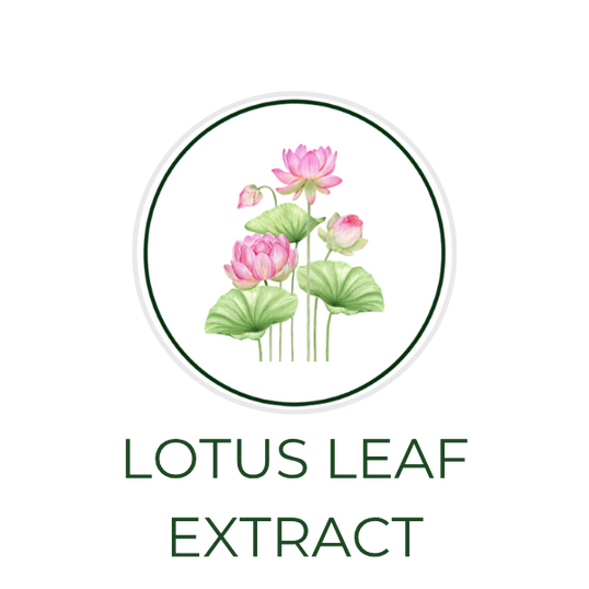 White circular icon featuring lotus leaves, with the ingredient name "Lotus Leaf Extract" displayed on the image, alongside the Skin TOGO website.
