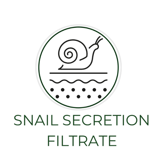 White circular icon featuring a snail illustration, with the ingredient name Snail Mucin Extract displayed on the image, alongside the Skin TOGO website.