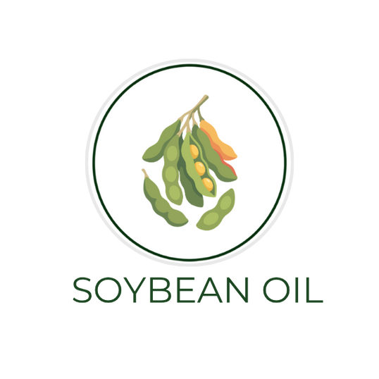 White circular icon featuring soybeans and oil drops, with the ingredient name Soybean Oil displayed on the image, alongside the Skin TOGO website.