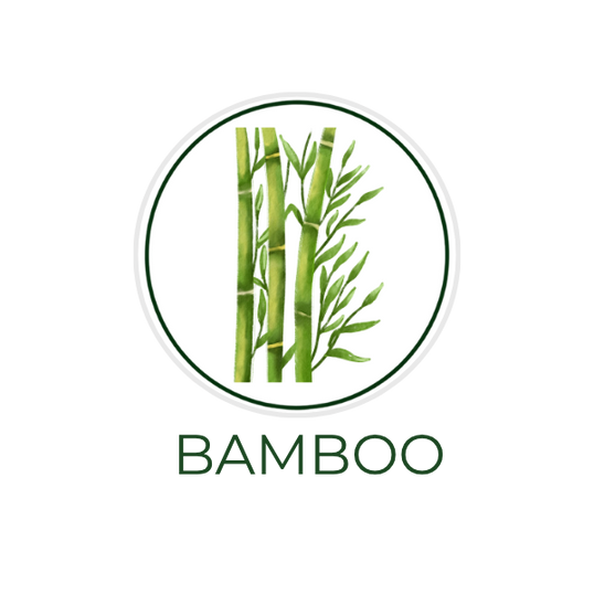 White circular icon featuring bamboo stalks or leaves, with the ingredient name Bamboo displayed on the image, alongside the Skin TOGO website.
