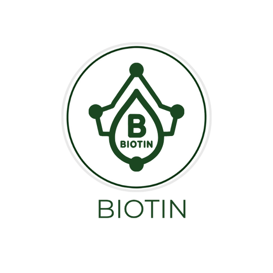 White circular icon featuring a vitamin molecule illustration, with the ingredient name Biotin displayed on the image, alongside the Skin TOGO website.