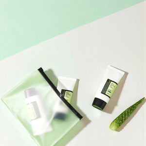 Skin TOGO Cosrx Aloe Soothing Sun Cream SPF50 tubes with a fresh aloe vera leaf and a translucent green travel pouch.